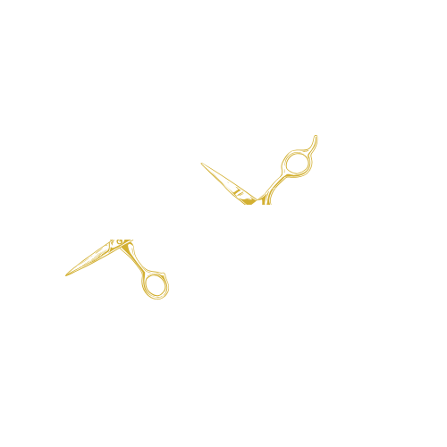 Hasan Demirci